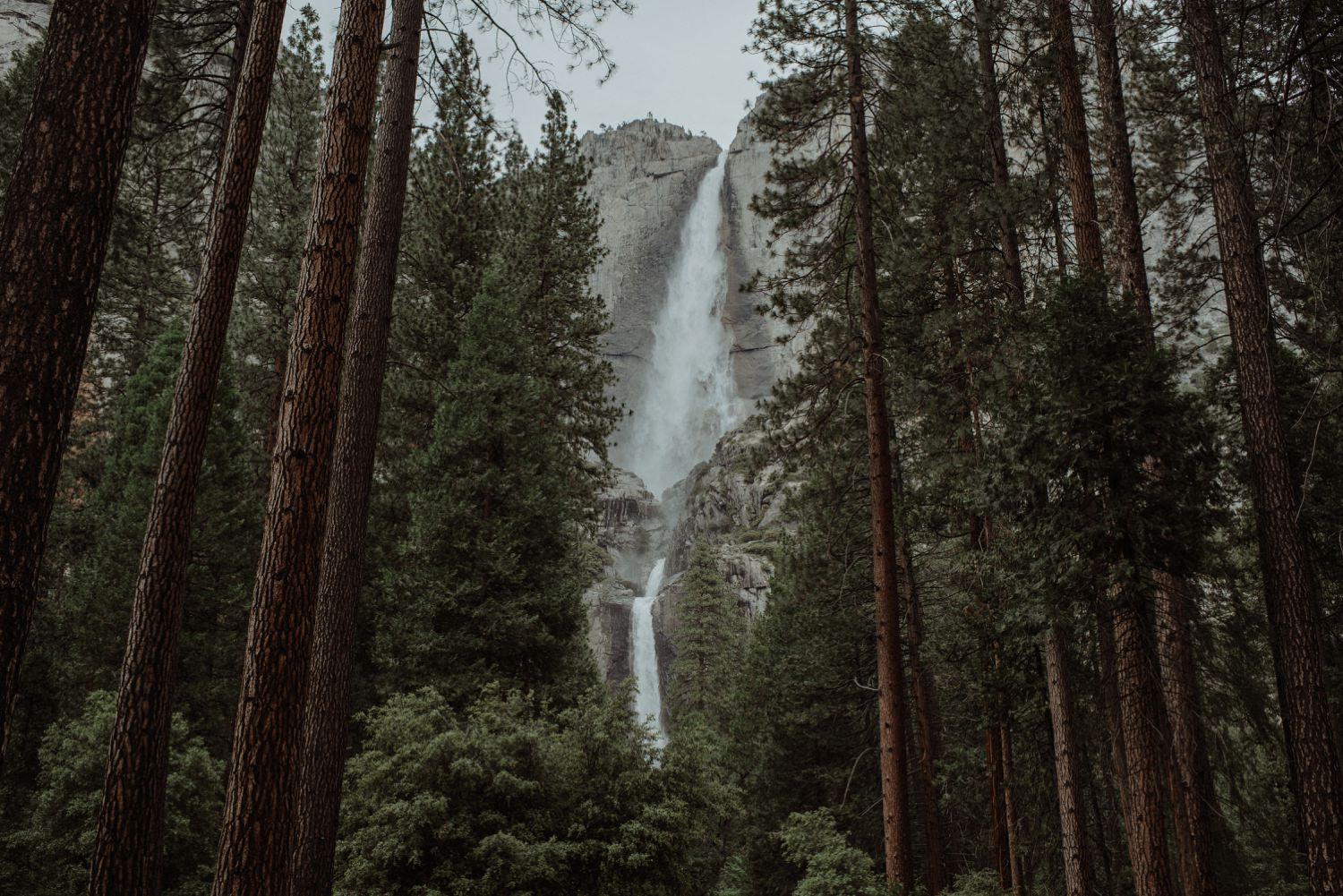 Yosemite elopement photographer_0372
